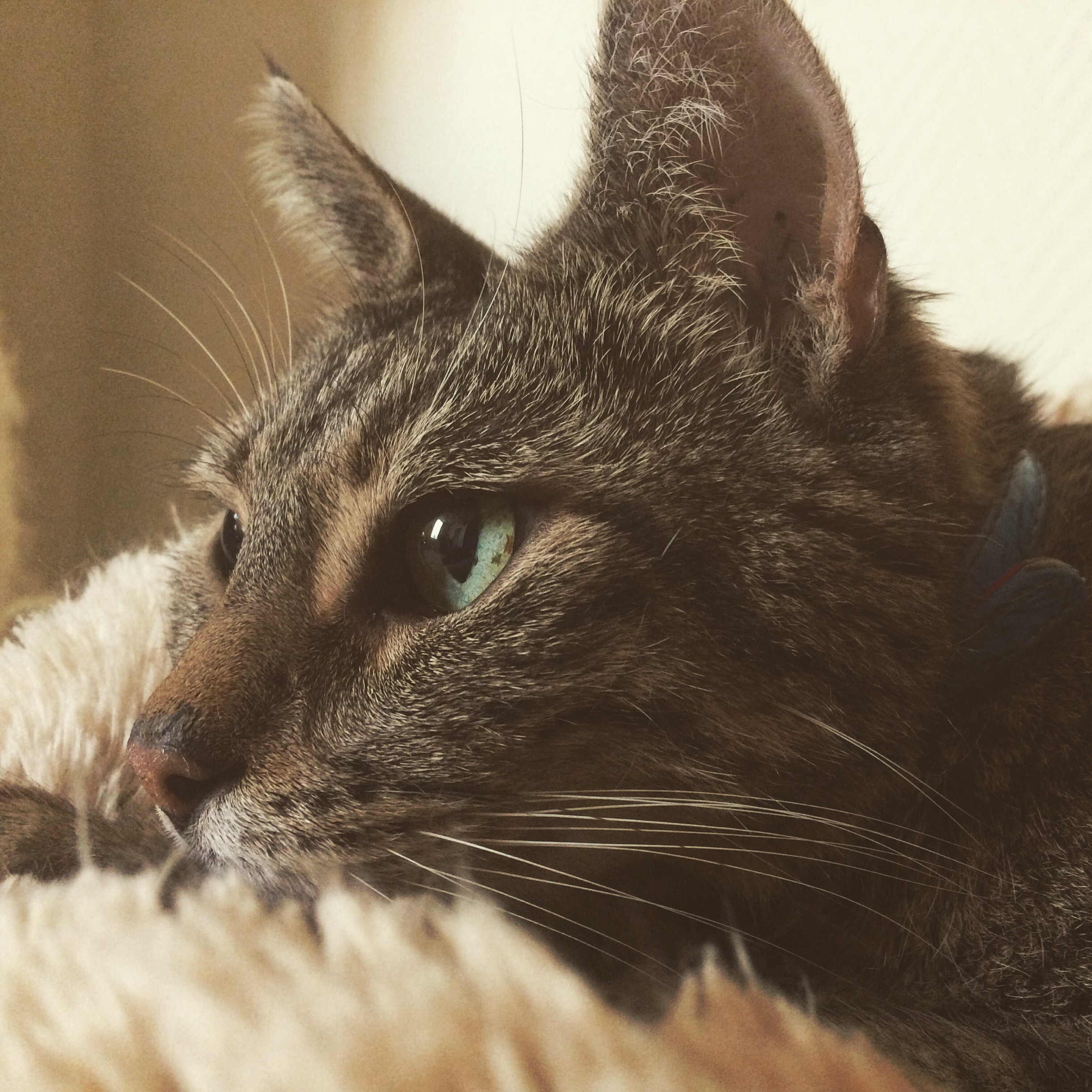 Blog #14 – Max